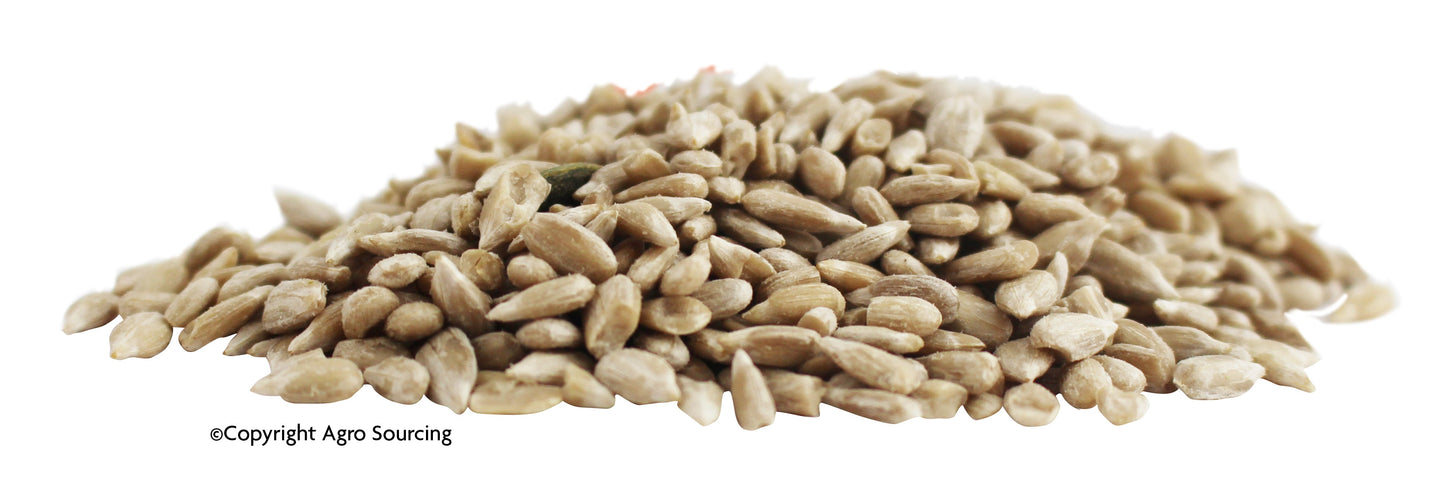 Pépite -- Graines de tournesol bio Vrac (origine UE) - 10 kg